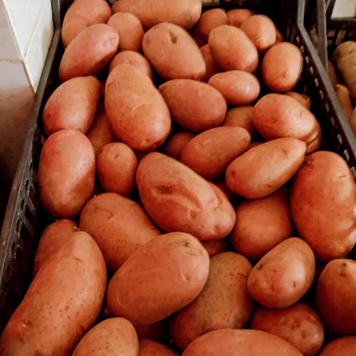 431775051_791107863046626_6409923913697405719_n.jp