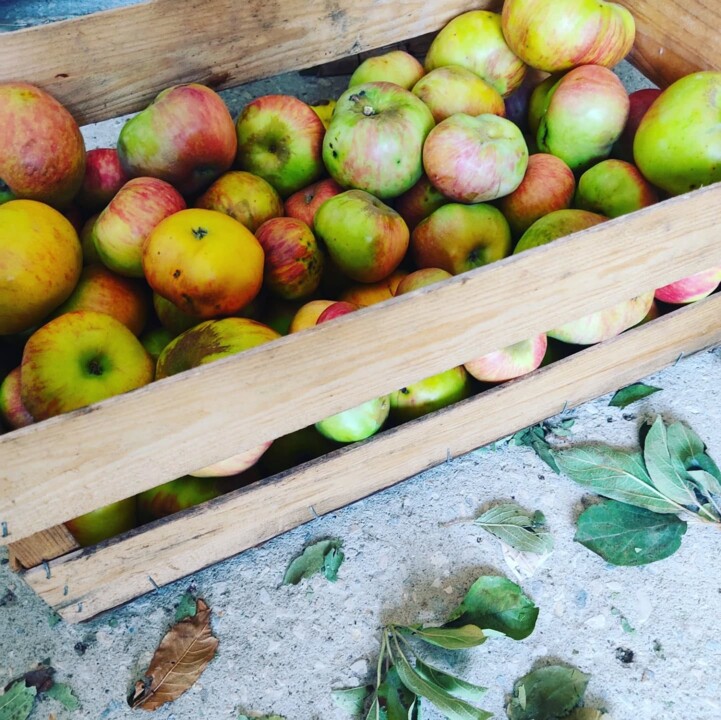 526324537_18491762134066958_7164315864116839618_n.