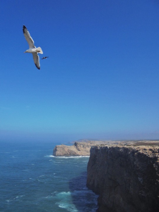 DSC08633 (2).JPG DSC08633 (2).JPG