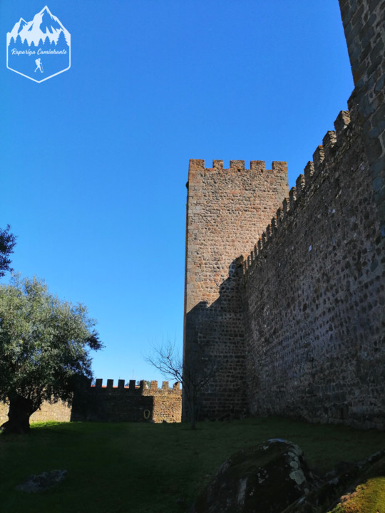 Photo_1583864175244.jpg Photo_1583864175244.jpg