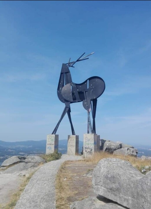 WhatsApp Image 2024-06-02 at 23.17.45.jpeg