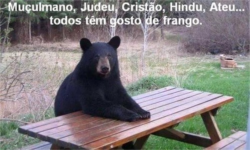 frango.jpg frango.jpg