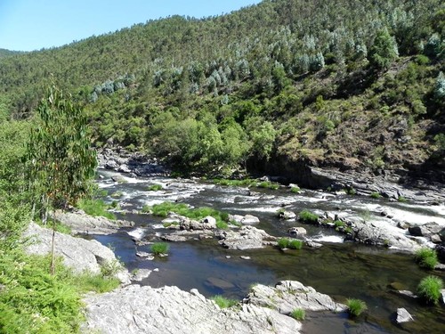 13529104_10157108658520578_6641366986988267880_n.j