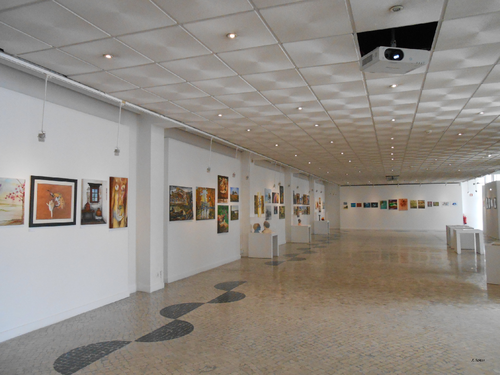 Exposição da USALMA (2). 2015. Foto de João Flávios. PNG