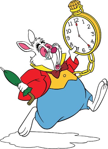 coelho-branco.jpg coelho-branco.jpg