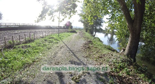 Margens rio Ave Trofa 11.JPG