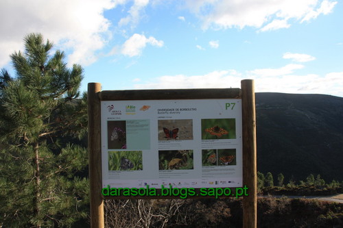 Biodiversidade_Freita_21.JPG Biodiversidade_Freita_21.JPG