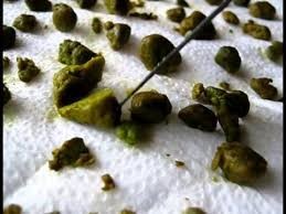 transferir (1).jpg transferir (1).jpg