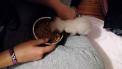 IMG_20160916_173839.jpg IMG_20160916_173839.jpg