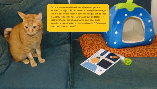 122321456456.JPG 122321456456.JPG