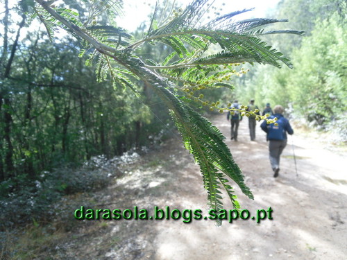 Penacova_15.JPG Penacova_15.JPG