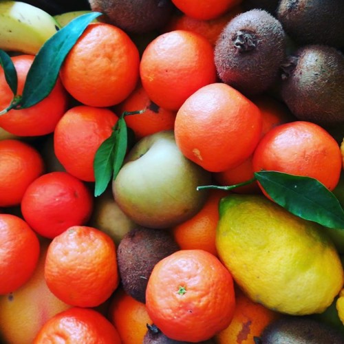 52653715_1312984098841348_8637784633666174976_n.jp