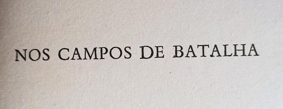 nos campos.jpg