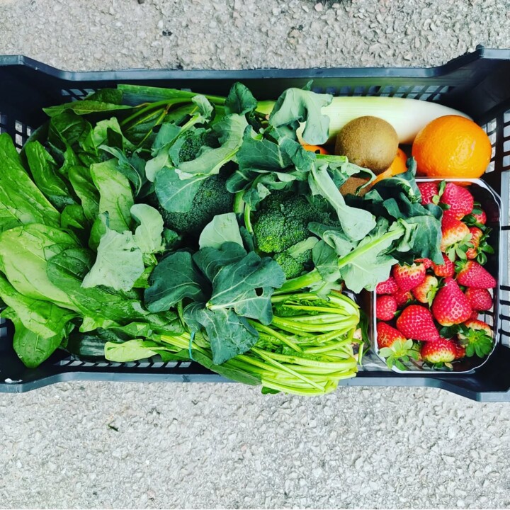 480517816_18461874679066958_3169646843835835353_n.