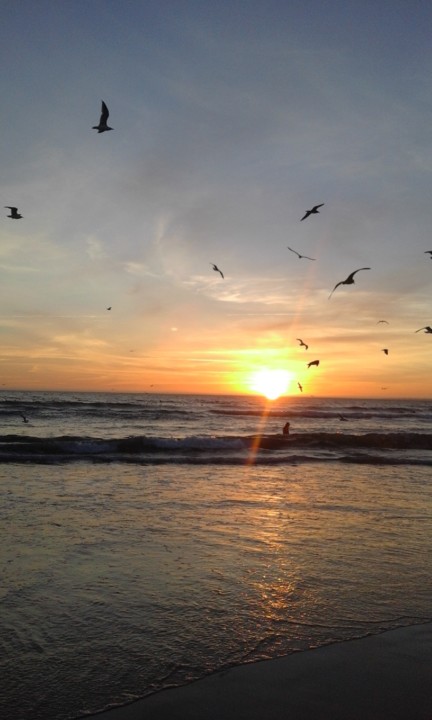 Costa. Foto Original. 2020. 08. jpg