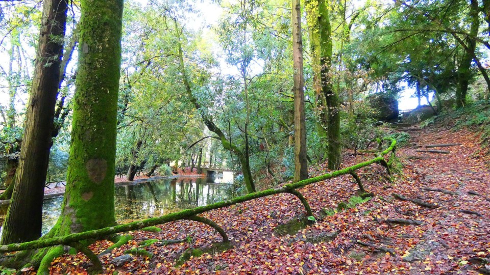 124034771_10218781119334171_3760459999792796284_o.