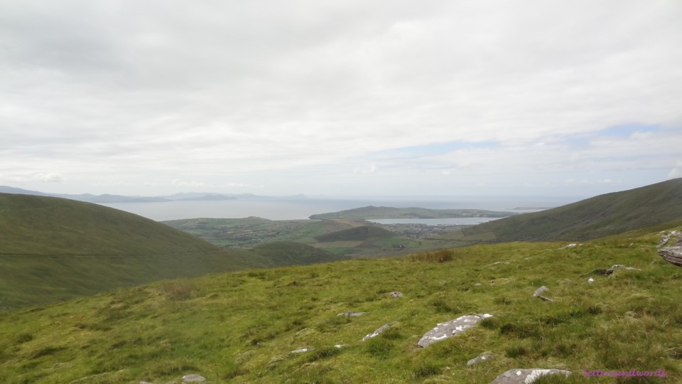 DSC07224.JPG DSC07224.JPG