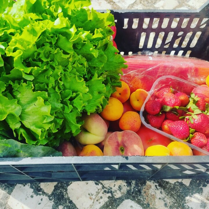 502530114_18485040955066958_6902366241084094380_n.