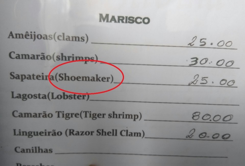 21677373_HaDhC (1).jpeg 21677373_HaDhC (1).jpeg