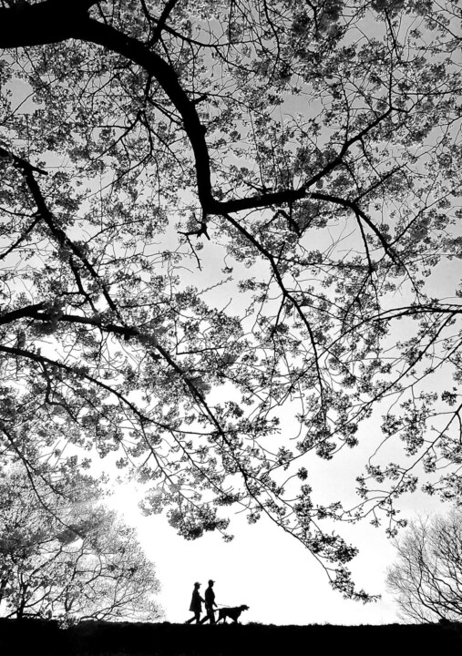 351538213_1037380100969003_6605808242892238298_n.j