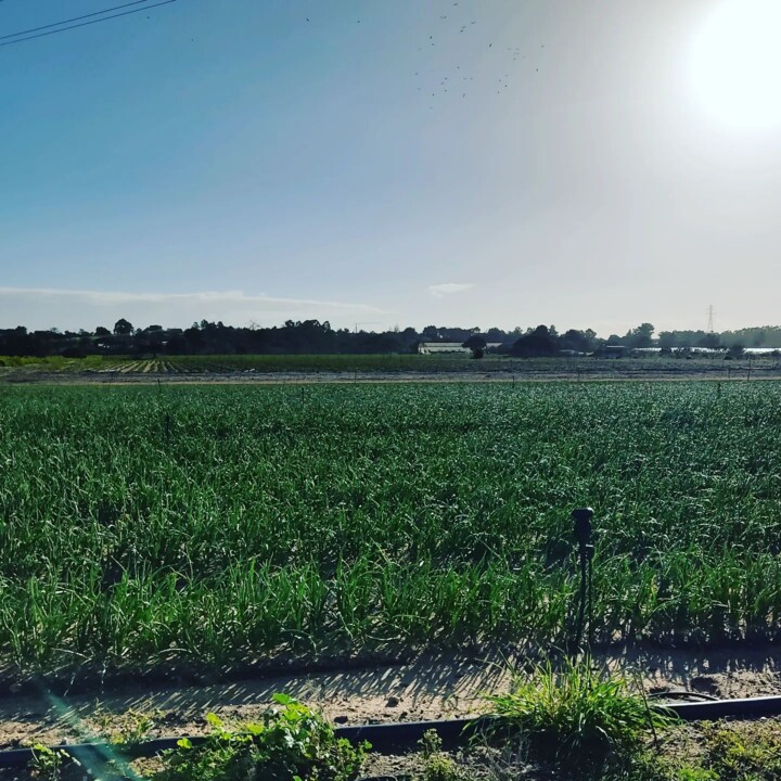 336654744_2395822723932283_2906817704367495538_n.j