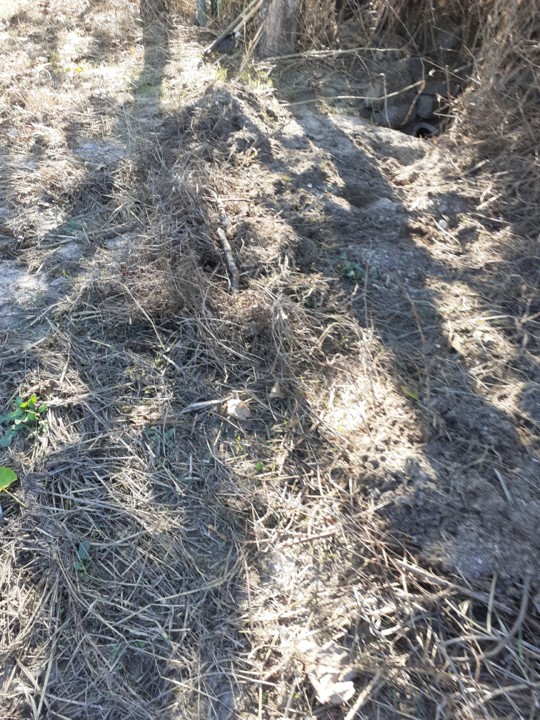 Valeta e cano. Foto Original. 2021.09.21.jpg