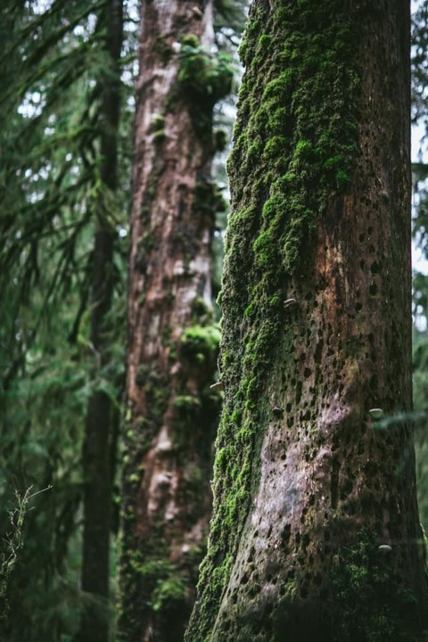 125484057_3389787347783780_106812543277499943_n.jp