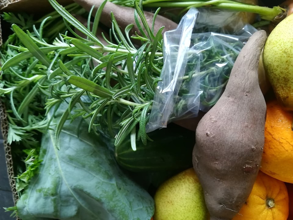 70657351_1471429242996832_3033498945482391552_n.jp