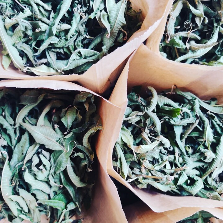 589361947_18515793946066958_5451760628903340010_n.