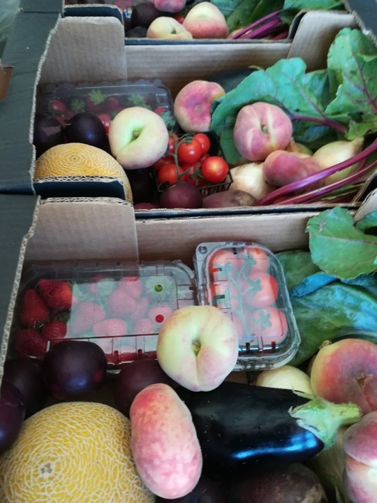 62356502_1391396931000064_953989683291881472_n.jpg 62356502_1391396931000064_953989683291881472_n.jpg