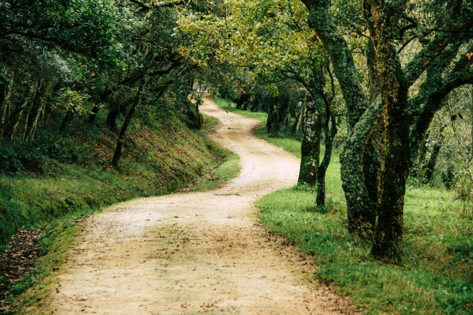 parque de montachique 1.jpg