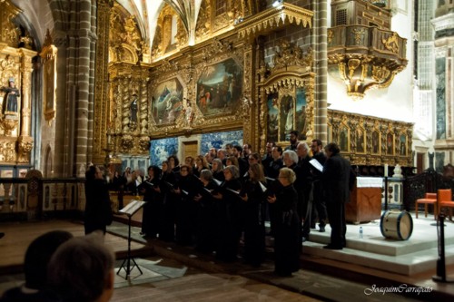 Coral S. Domingos.jpg