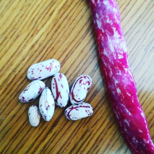 37685576_1155607754578984_7018819397456232448_n.jp