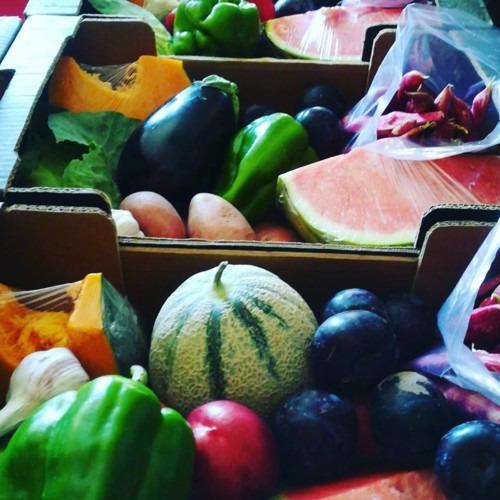 37775500_1159132117559881_6476855350027878400_n.jp