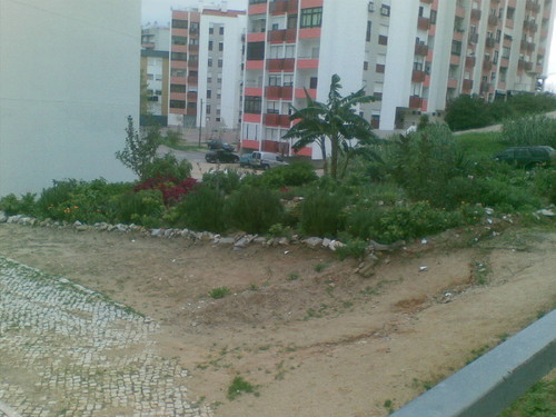 Jardim de Dona Vanda 4. Foto de F.M.C.L. Jardim de Dona Vanda 4. Foto de F.M.C.L.