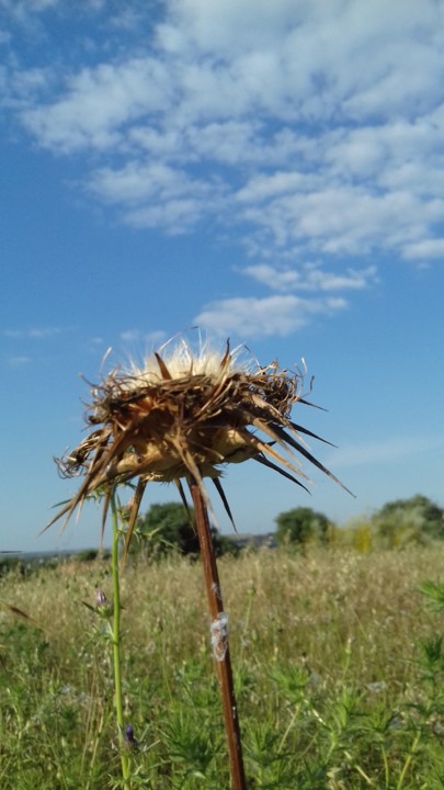 20200521_185618.jpg 20200521_185618.jpg