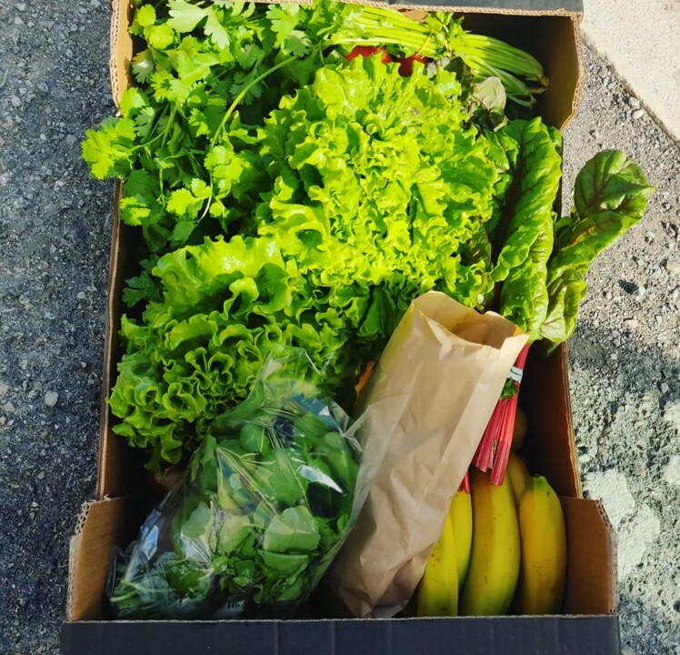 400190552_723551149802298_3181332556785642105_n.jp