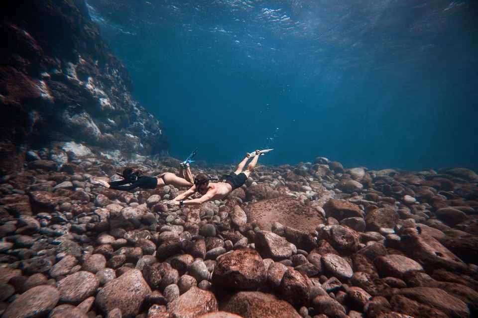 130709809_407137887303573_7957952227023464823_n.jp