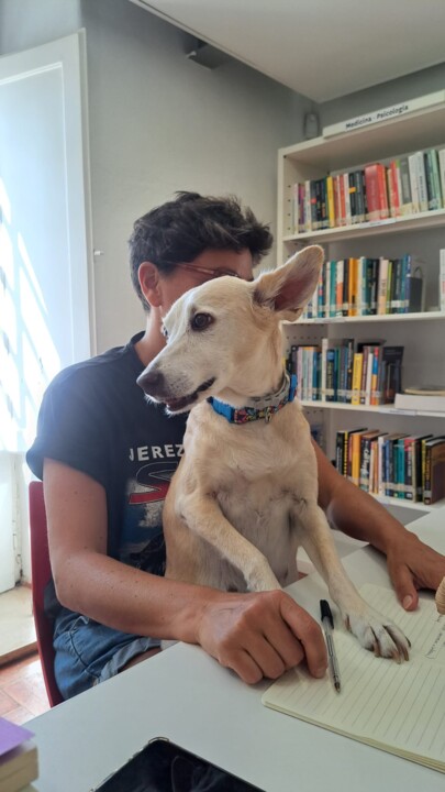 WhatsApp Image 2025-08-26 at 14.54.18.jpeg