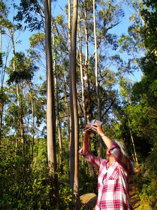 IMG-20200722-WA0006.jpg IMG-20200722-WA0006.jpg