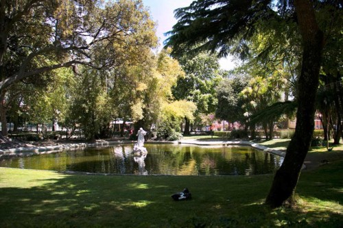 fluor_studio_campo_ourique_lisbon_jardim_estrela_0 fluor_studio_campo_ourique_lisbon_jardim_estrela_0