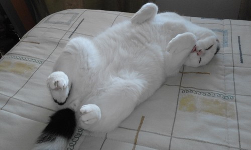 20170414_185835.jpg 20170414_185835.jpg