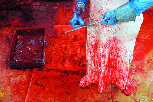 468363.png 468363.png