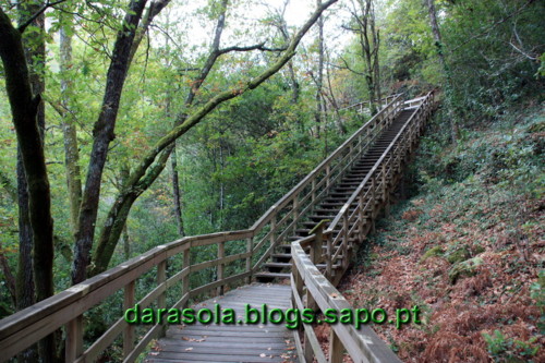 Passarelas_Rio_Mao_16.JPG Passarelas_Rio_Mao_16.JPG