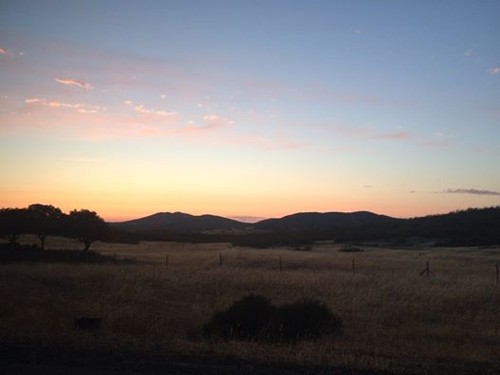 11698448_10203504643810566_7691809867512620150_n.j