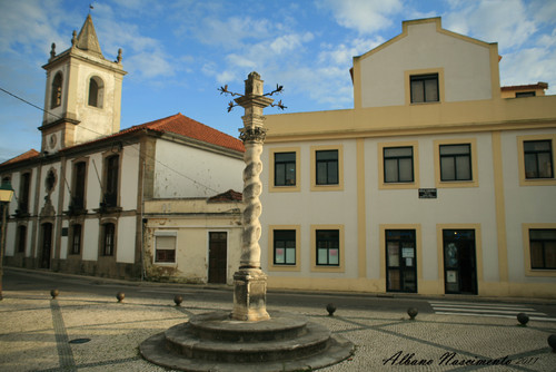 ESGUEIRA - Aviero