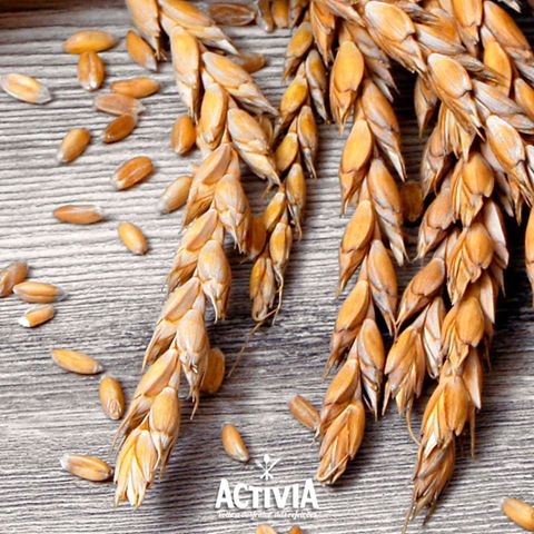 13339713_1382097475150556_9138278156340112992_n.jp 13339713_1382097475150556_9138278156340112992_n.jp