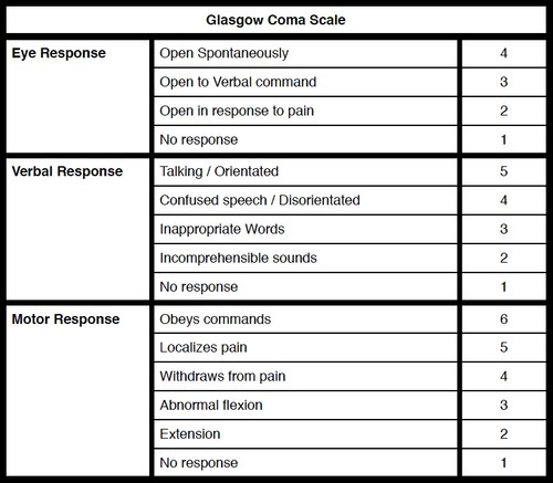 GCS - Normal pic.jpg