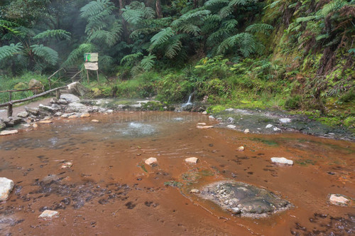 DSC09496.jpg DSC09496.jpg