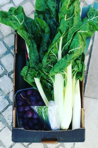 41755211_1205962766210149_6747641166751072256_n.jp 41755211_1205962766210149_6747641166751072256_n.jp